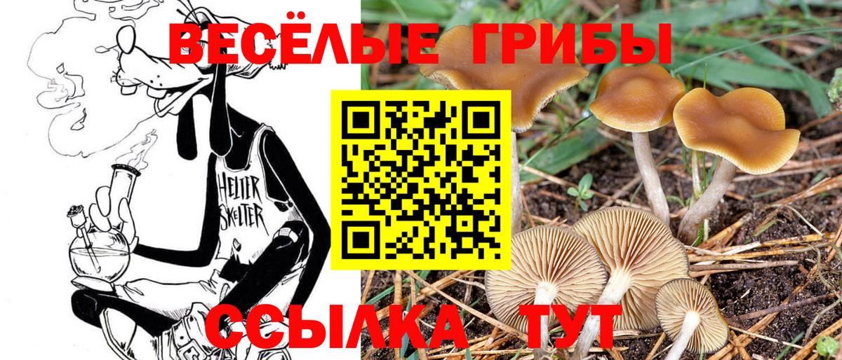 Галлюциногенные грибы MAGIC MUSHROOMS  Вход с VPN  что такое   Кимовск 